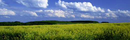 436846 (a): :3840x1200